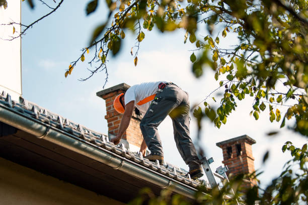 Best Local Roofing Companies  in Oliver Springs, TN