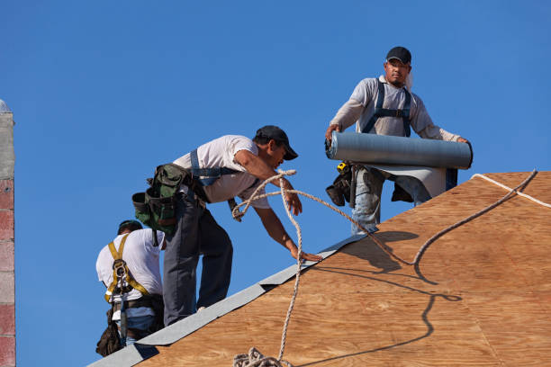 Best Best Roofing Contractors  in Oliver Springs, TN