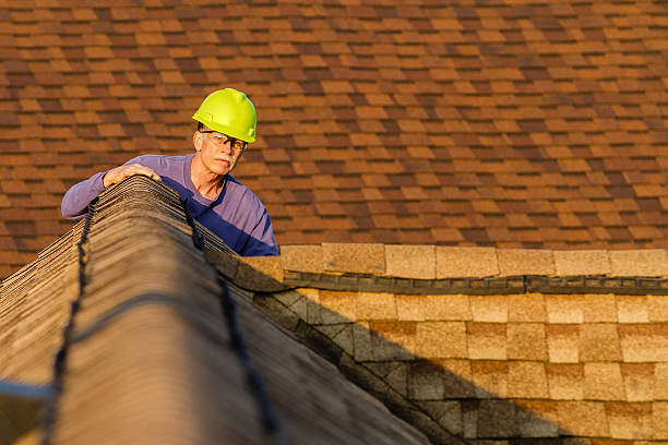 Best Metal Roofing Contractor  in Oliver Springs, TN