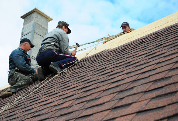 Gutter Installation and Roofing in Oliver Springs, TN